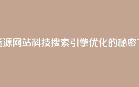 低价货源网站科技:搜索引擎优化的秘密 第1张 低价货源网站科技:搜索引擎优化的秘密 第1张