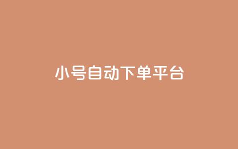ks小号自动下单平台 - KS小号自动下单平台，一键畅享便捷购物体验! 第1张