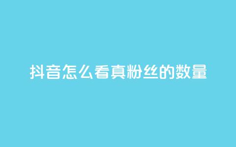 抖音怎么看真粉丝的数量 - 如何在抖音上查看真实粉丝数量! 第1张 抖音怎么看真粉丝的数量 - 如何在抖音上查看真实粉丝数量! 第1张