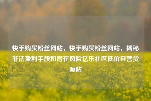 快手购买粉丝网站，快手购买粉丝网站，揭秘非法盈利手段和潜在风险亿乐社区低价自营货源站  第1张