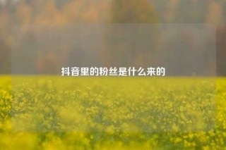 抖音里的粉丝是什么来的