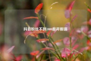 抖音粉丝不到1000能开橱窗