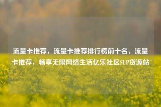 流量卡推荐，流量卡推荐排行榜前十名，流量卡推荐，畅享无限网络生活亿乐社区SUP货源站