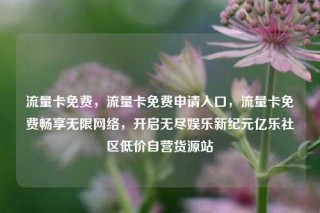 流量卡免费，流量卡免费申请入口，流量卡免费畅享无限网络，开启无尽娱乐新纪元亿乐社区低价自营货源站
