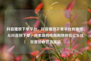 抖音播放下单平台，抖音播放下单平台有哪些，从抖音到下单，探索新的电商购物体验亿乐社区低价自营货源站