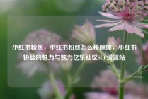 小红书粉丝，小红书粉丝怎么移除掉，小红书粉丝的魅力与魅力亿乐社区SUP货源站