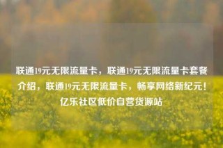 联通19元无限流量卡，联通19元无限流量卡套餐介绍，联通19元无限流量卡，畅享网络新纪元！亿乐社区低价自营货源站