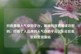 抖音直播人气自助平台，解锁抖音直播成功密码，打造个人品牌的人气自助平台亿乐社区低价自营货源站