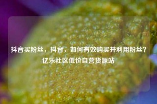 抖音买粉丝，抖音，如何有效购买并利用粉丝？亿乐社区低价自营货源站