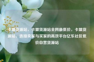卡盟货源站，卡盟货源站全网最低价，卡盟货源站，连接卖家与买家的高效平台亿乐社区低价自营货源站