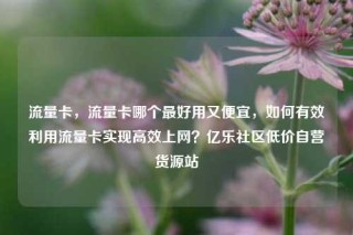 流量卡，流量卡哪个最好用又便宜，如何有效利用流量卡实现高效上网？亿乐社区低价自营货源站