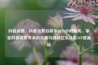 抖音点赞，抖音点赞自助平台24小时服务，享受抖音点赞带来的乐趣与挑战亿乐社区SUP货源站