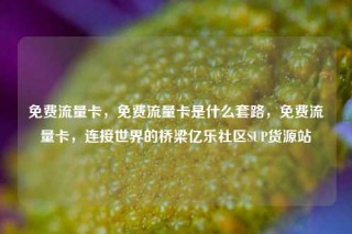 免费流量卡，免费流量卡是什么套路，免费流量卡，连接世界的桥梁亿乐社区SUP货源站