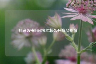 抖音没有1000粉丝怎么开商品橱窗