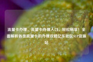 流量卡办理，流量卡办理入口，轻松畅享！全面解析各类流量卡的办理攻略亿乐社区SUP货源站