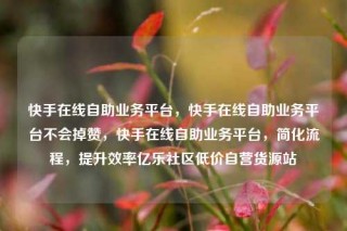 快手在线自助业务平台，快手在线自助业务平台不会掉赞，快手在线自助业务平台，简化流程，提升效率亿乐社区低价自营货源站
