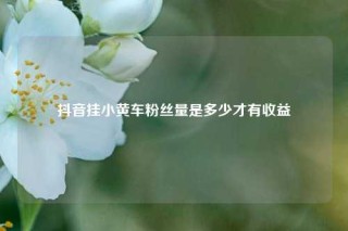 抖音挂小黄车粉丝量是多少才有收益