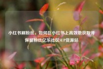 小红书刷粉丝，如何在小红书上高效地获取并保留粉丝亿乐社区SUP货源站