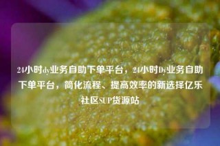 24小时dy业务自助下单平台，24小时Dy业务自助下单平台，简化流程、提高效率的新选择亿乐社区SUP货源站