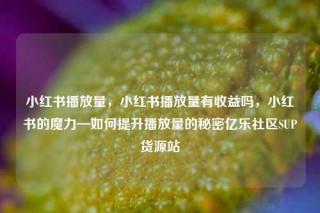 小红书播放量，小红书播放量有收益吗，小红书的魔力—如何提升播放量的秘密亿乐社区SUP货源站