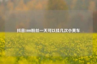 抖音1000粉丝一天可以挂几次小黄车