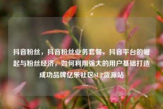 抖音粉丝，抖音粉丝业务套餐，抖音平台的崛起与粉丝经济，如何利用强大的用户基础打造成功品牌亿乐社区SUP货源站