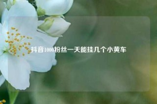 抖音1000粉丝一天能挂几个小黄车
