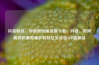 抖音粉丝，抖音粉丝排名前十名，抖音，如何高效积累和维护粉丝亿乐社区SUP货源站