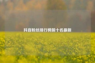 抖音粉丝排行榜前十名最新