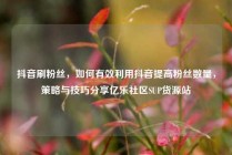 抖音刷粉丝，如何有效利用抖音提高粉丝数量，策略与技巧分享亿乐社区SUP货源站