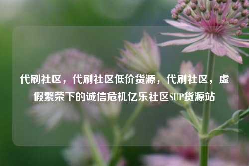 代刷社区，代刷社区低价货源，代刷社区	，虚假繁荣下的诚信危机亿乐社区SUP货源站  第1张