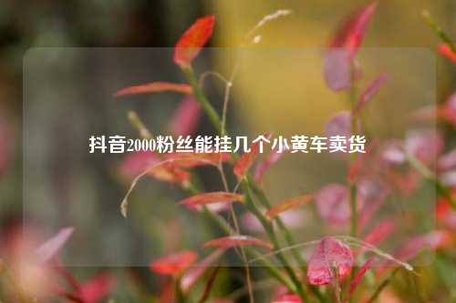 抖音2000粉丝能挂几个小黄车卖货  第1张